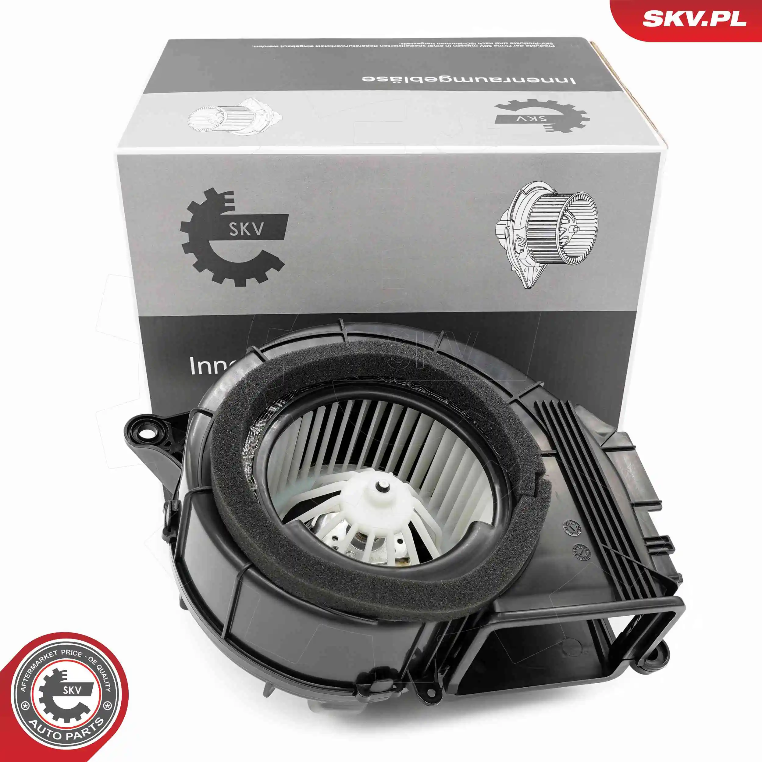 Interior Blower